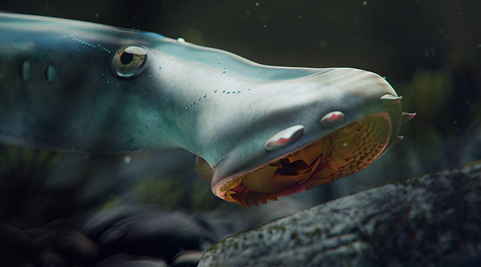 恐龙时代的食肉型七鳃鳗—燕辽鳗